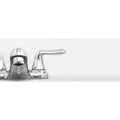 Avalon Bathroom and Kitchen Faucet Hybrid 4" Double Handle